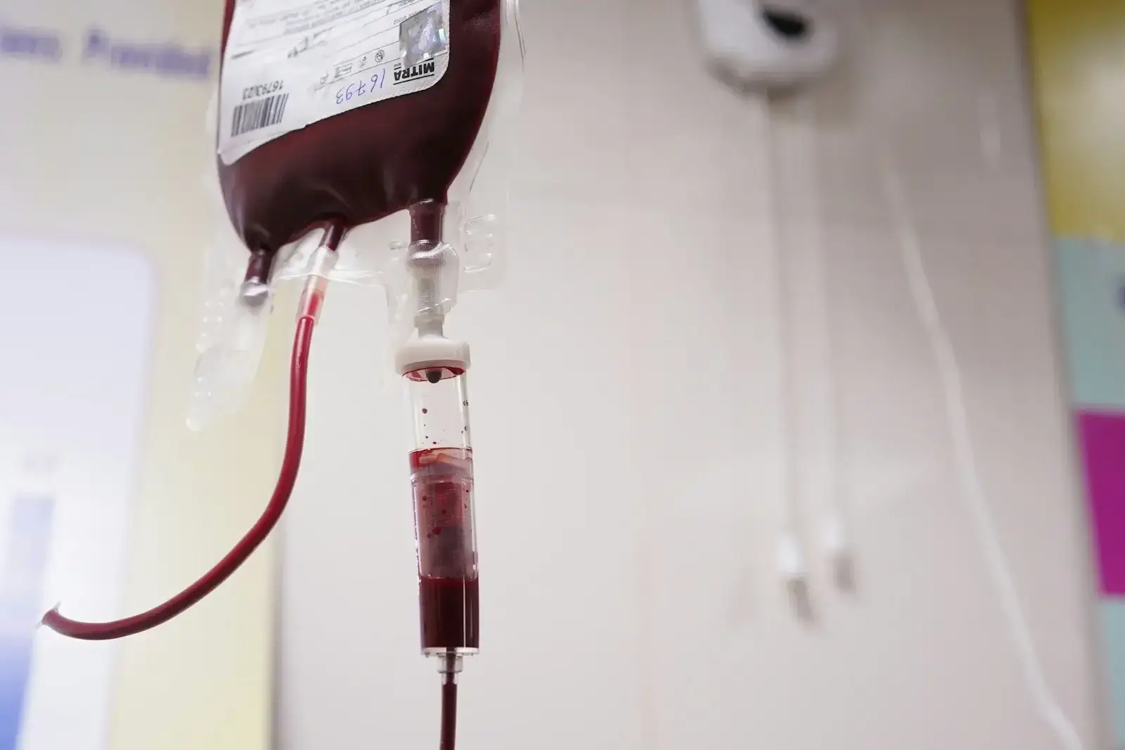 Blood Purification Activated Carbon Link Image
