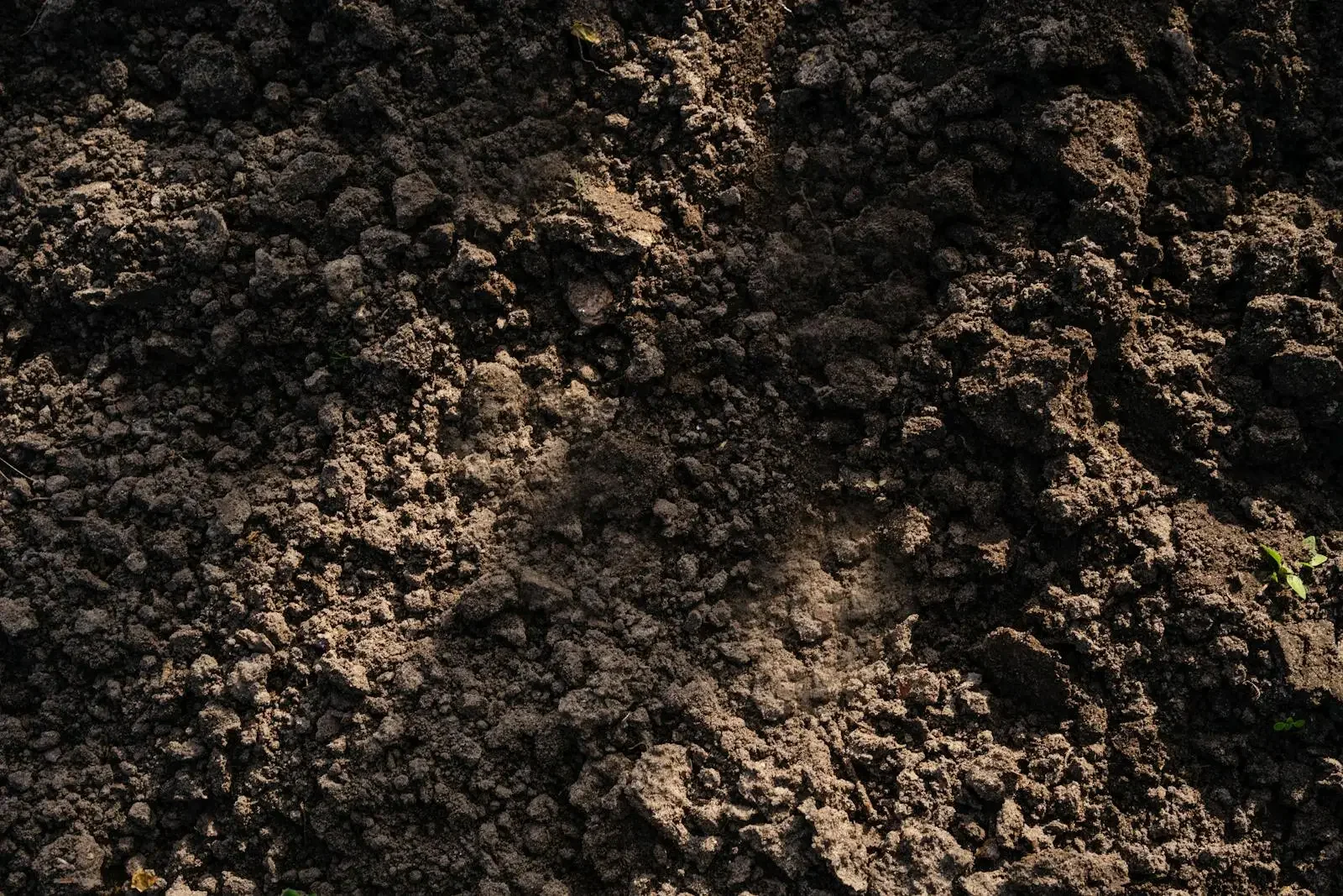 Soil Amendment Activated Carbon Featured Image