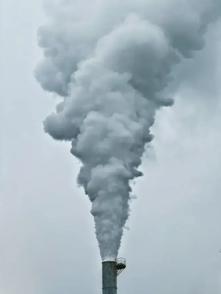 Nitrate Removal Activated Carbon Featured Image