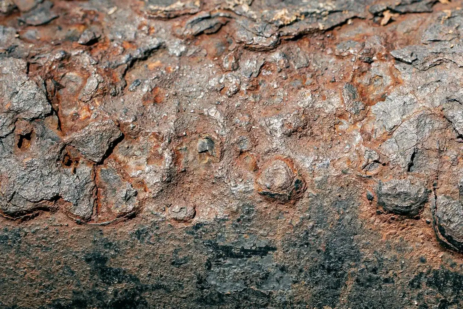 Metal Removal Activated Carbon Link Image