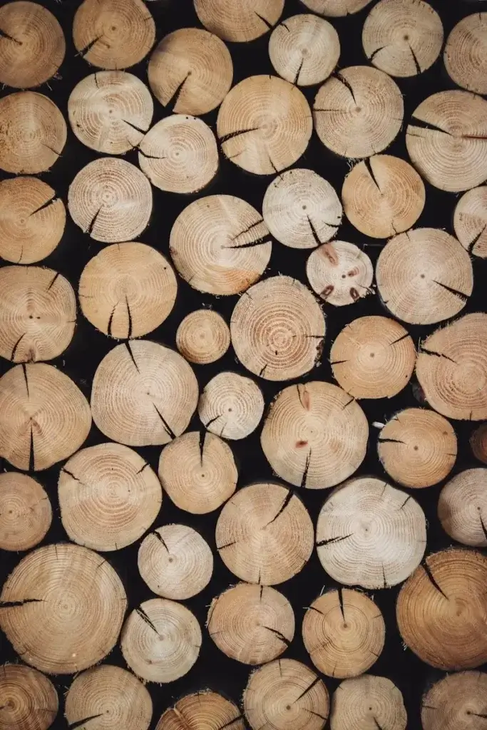 Wood Activated Carbon Featured Image