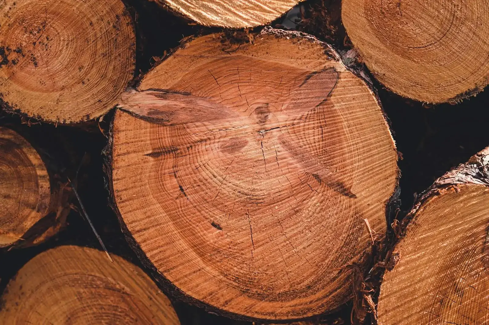 Wood Activated Carbon Link Image