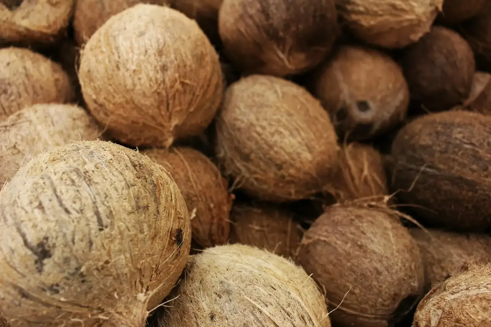 Coconut Shell Activated Carbon Link Image