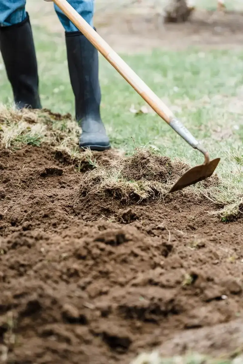 Soil Amendment Activated carbon