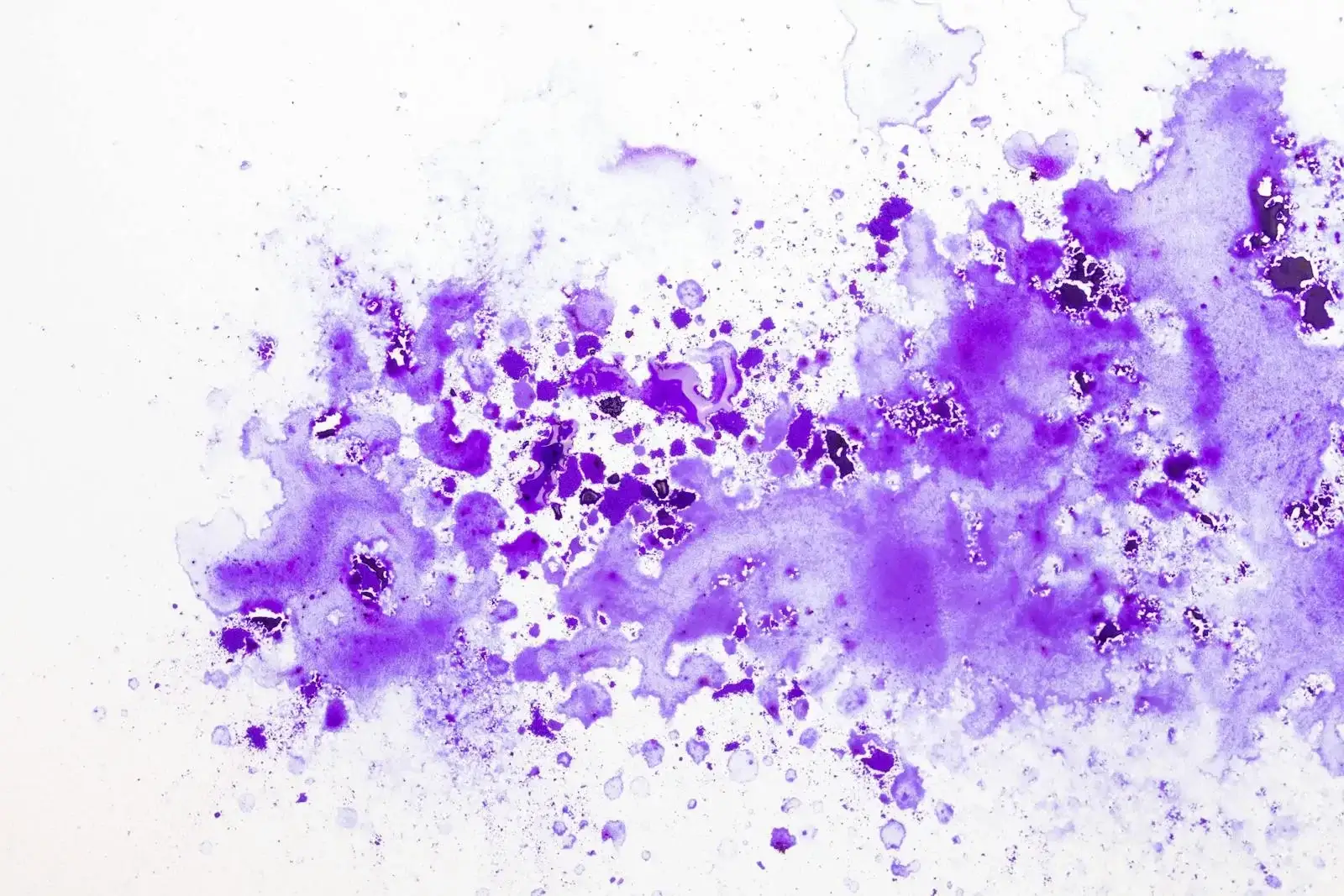 Potassium Permanganate-Impregnated Activated Carbon Link Image