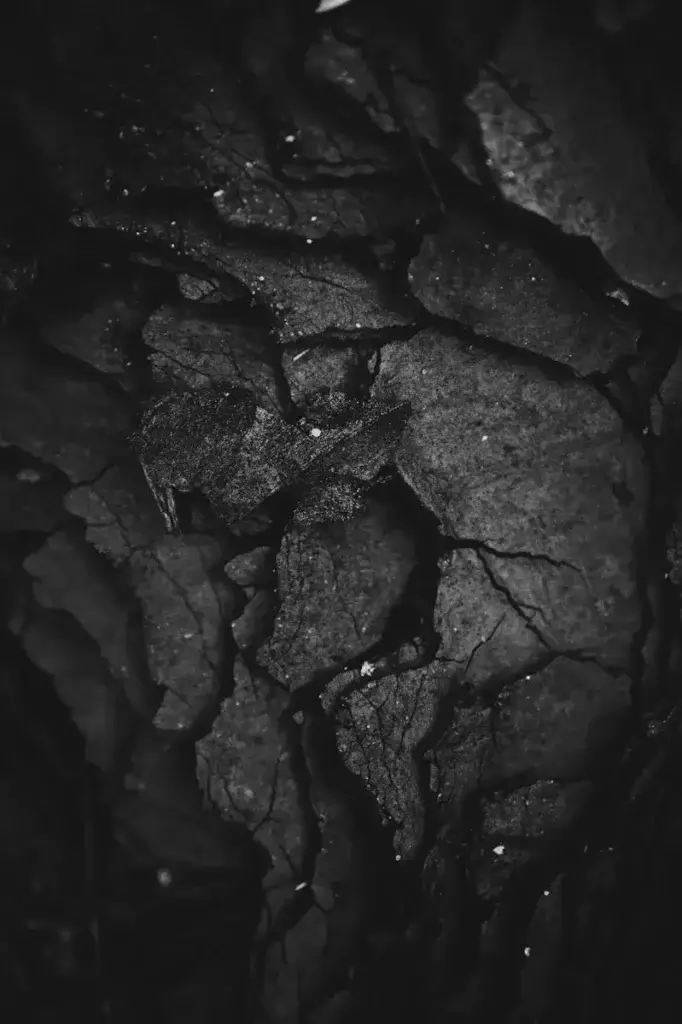 Activated Carbon Featured Image
