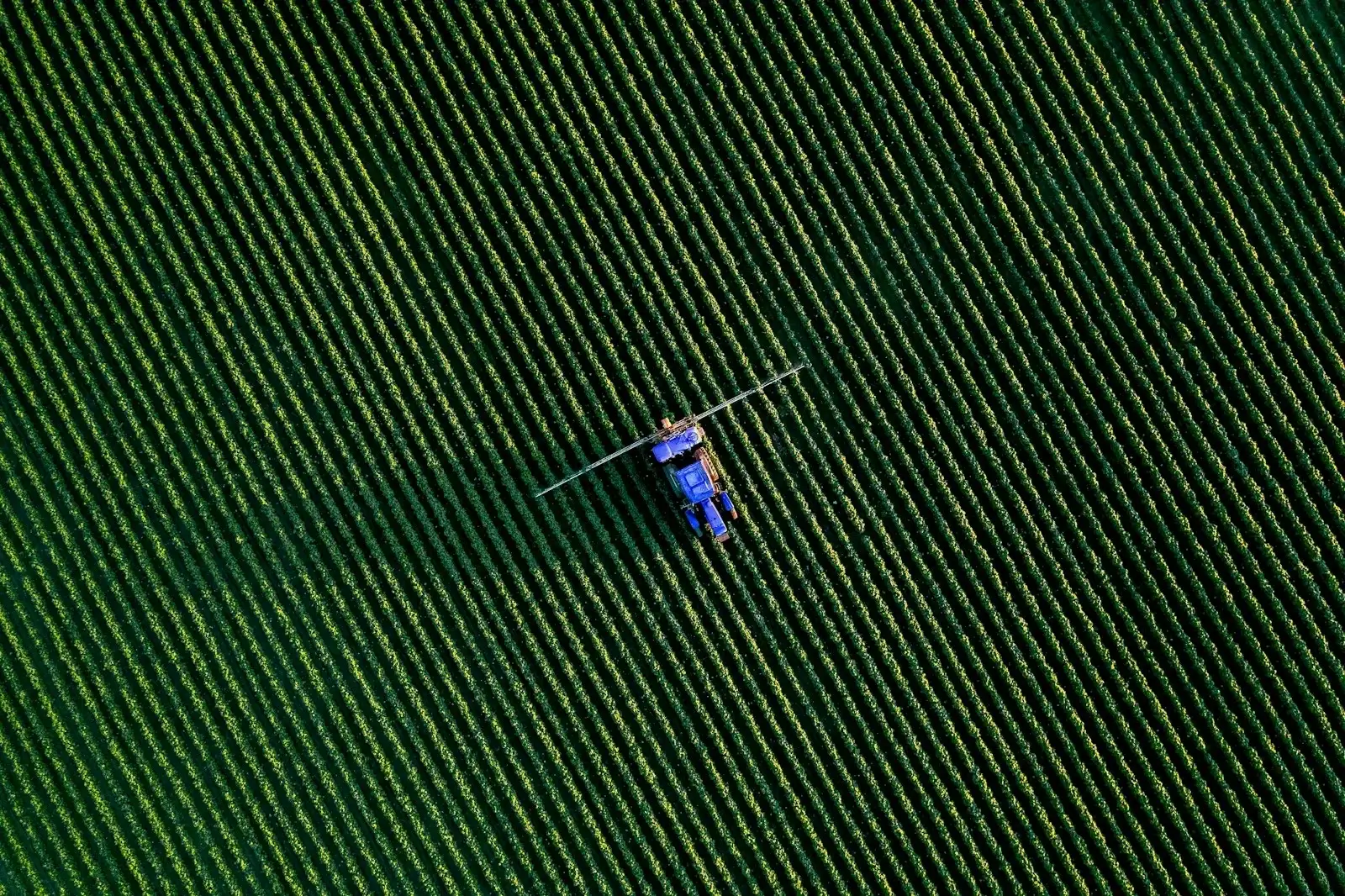 Agriculture Activated Carbon Link Image