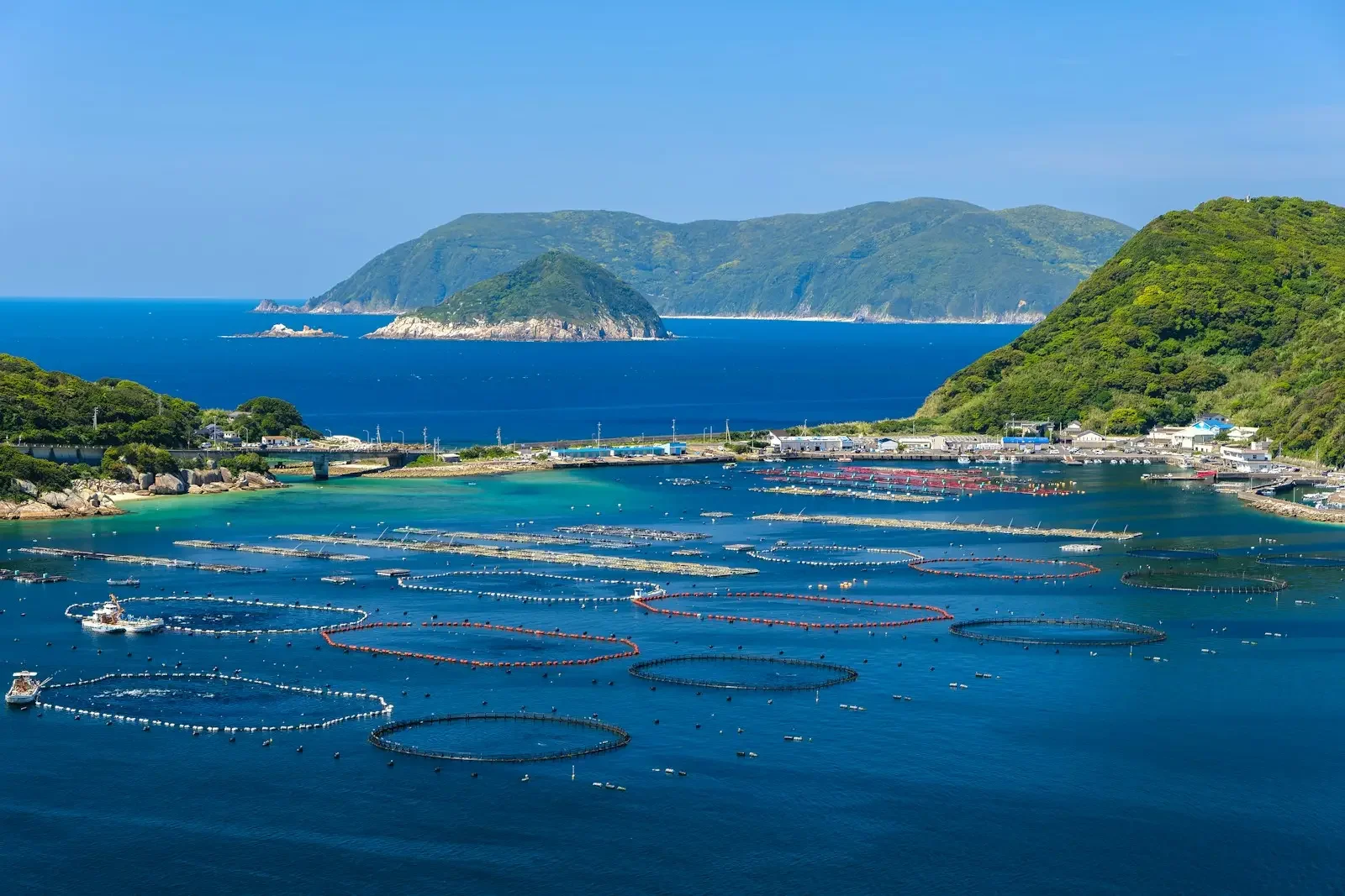 Aquaculture Activated Carbon Link Image