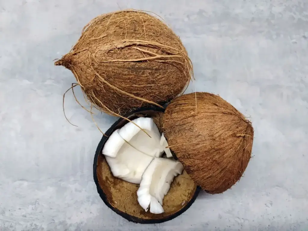 Close-up of whole and halved coconuts on a gray background, highlighting their texture.